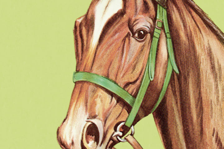 Батончики Snickers получили свое название в честь любимой лошади